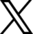 X Icon